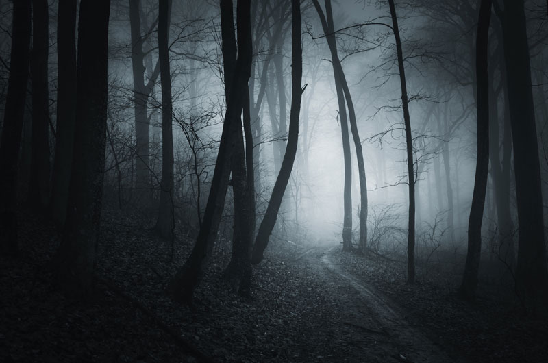 THINK-MAR-PIC—bigstock-Dark-road-in-mysterious-scary–85467077